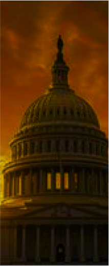 Government Government